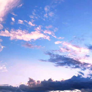 人人爱天天做夜夜爽毛片
