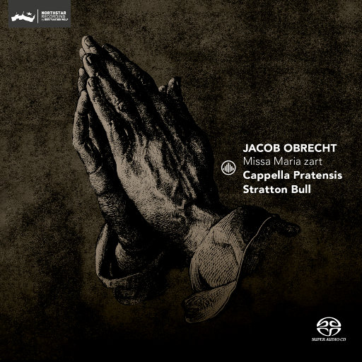 人人爱天天做夜夜爽毛片
